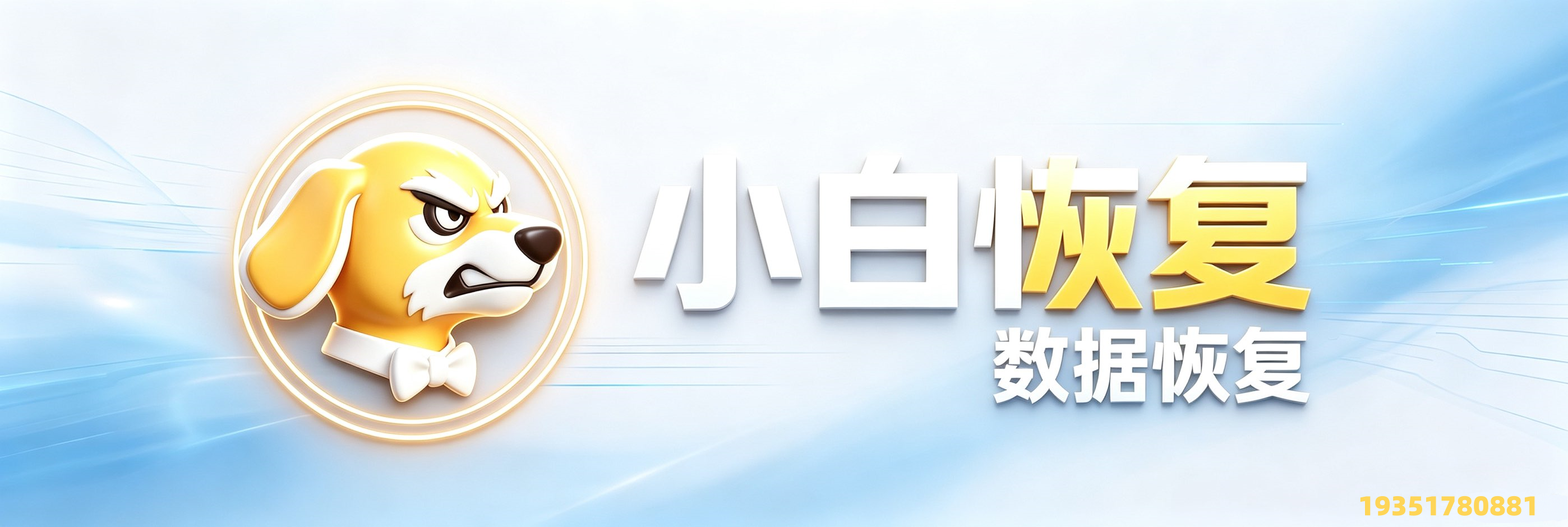 小白恢复